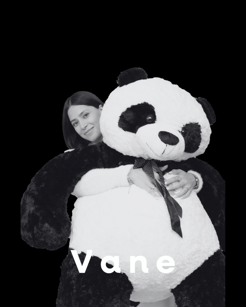 Vane